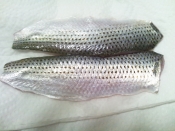 コノシロの酢漬け レシピ 作り方 By おおら 楽天レシピ コノシロの酢漬け レシピ 作り方 By おおら 楽天レシピ