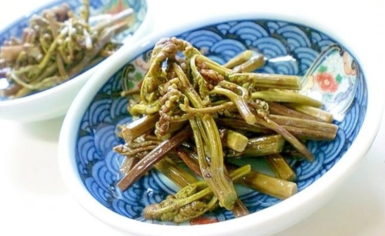 旬の わらび のおいしい食べ方と保存方法を解説 プロのアク抜き方法も デイリシャス 楽天レシピ 旬の わらび のおいしい食べ方と保存方法を解説 プロのアク抜き方法も デイリシャス 楽天レシピ