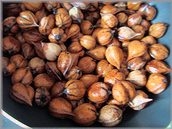 リスもびっくり 生クルミの実の取り出し方 レシピ 作り方 By はなまる子 楽天レシピ リスもびっくり 生クルミの実の取り出し方 レシピ 作り方 By はなまる子 楽天レシピ