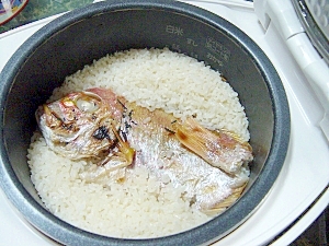 連子鯛の鯛めし