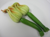 花ズッキーニの肉詰め モッツァレラチーズ入り レシピ 作り方 By 楽天出店店舗 新垣ミート楽天市場店 楽天レシピ 花ズッキーニの肉詰め モッツァレラチーズ入り レシピ 作り方 By 楽天出店店舗 新垣ミート楽天市場店 楽天レシピ