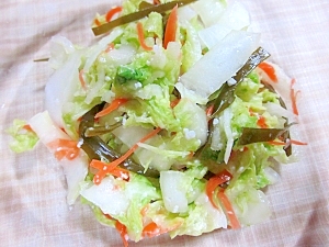 塩麹で白菜のサラダ風浅漬け