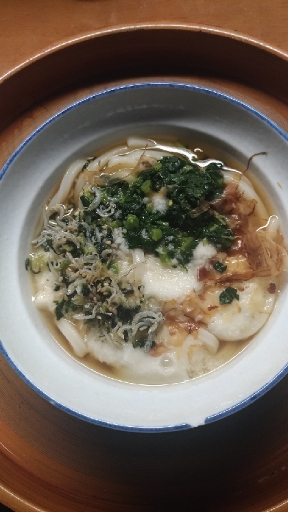 ヘルシー☆温とろろうどん