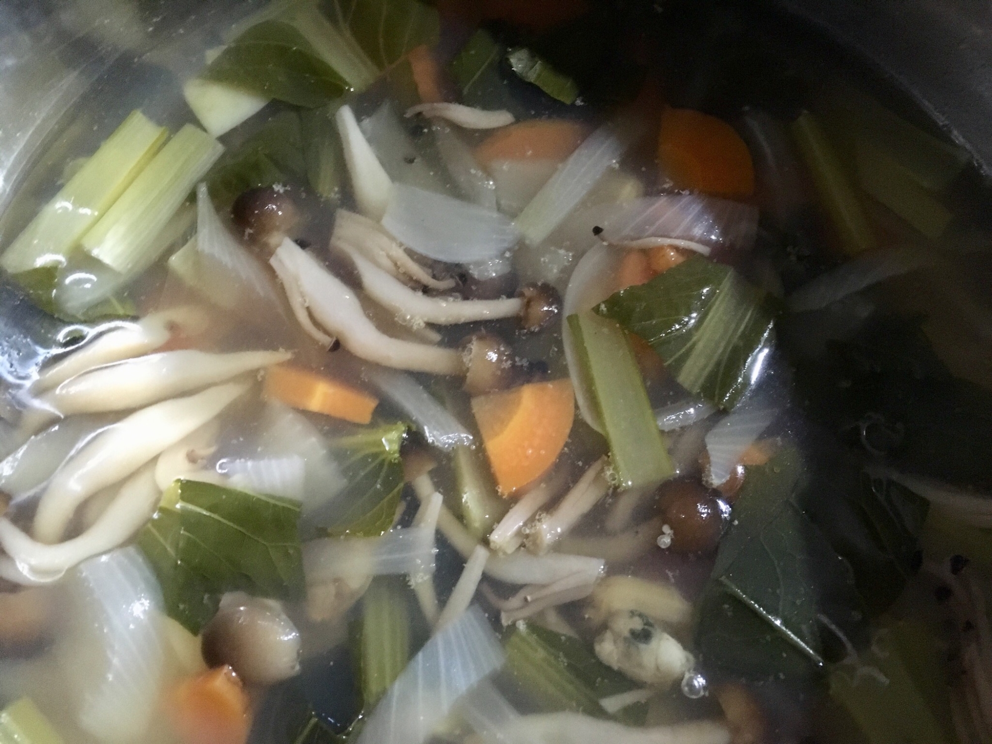 小松菜とたまねぎとしめじとにんじんのスープ