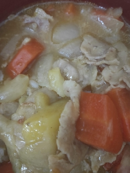 野菜たっぷり煮込み　スープ風