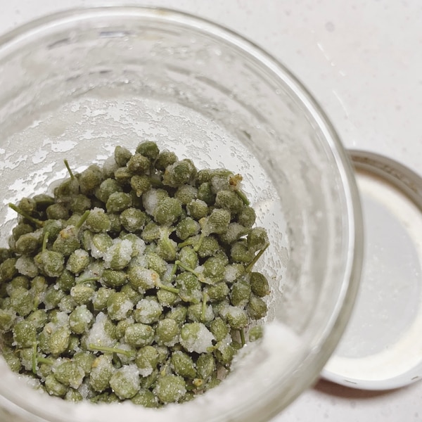 山椒の実の塩漬け レシピ 作り方 By Cookingjuju 楽天レシピ 山椒の実の塩漬け レシピ 作り方 By Cookingjuju 楽天レシピ