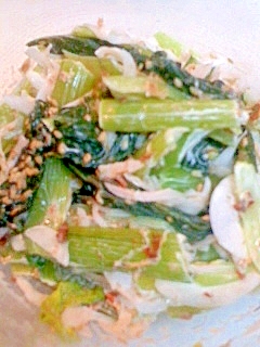 新玉ねぎと小松菜のサラダ