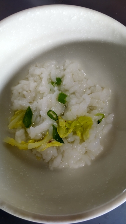 白菜細ネギ入りご飯