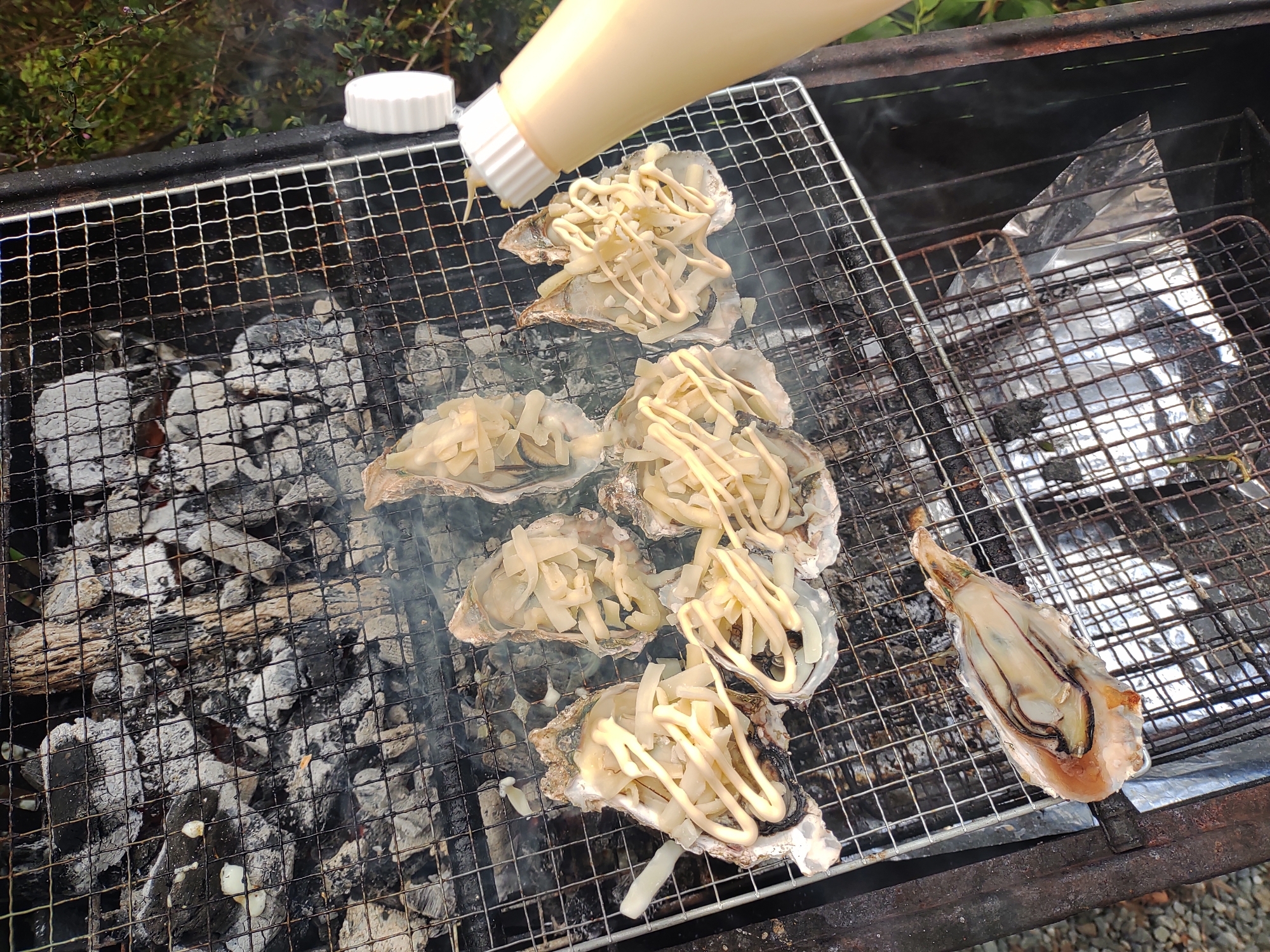 かきの炭火焼き