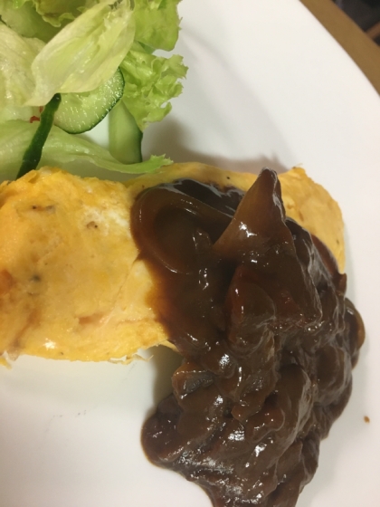 少しだけ残ってしまったハヤシライス が美味しくいただけました。