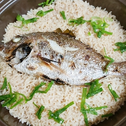 初めて土鍋でご飯も炊いたのですが、鯛の事前の臭み取りや味付けのおかげでバッチリ美味しく出来ました☆
ありがとうございました！