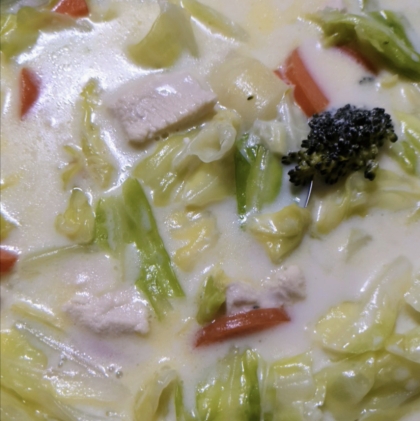 ルゥから手作り！春キャベツと鶏肉のシチュー