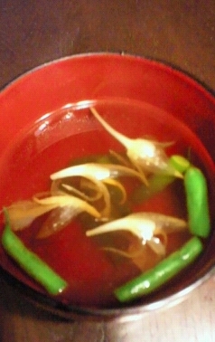 みょうがの花レシピ 作り方の人気順 簡単料理の楽天レシピ