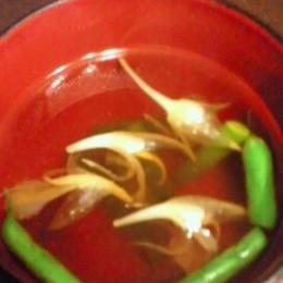 みょうがの花レシピ 作り方の人気順 簡単料理の楽天レシピ みょうがの花レシピ 作り方の人気順 簡単料理の楽天レシピ