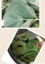 長命草 サクナ ジュース レシピ 作り方 By Wakuwaku3169 楽天レシピ 長命草 サクナ ジュース レシピ 作り方 By Wakuwaku3169 楽天レシピ