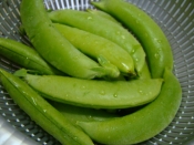 捨てないで 豆鞘のベーコンソテー レシピ 作り方 By Sundisk 楽天レシピ 捨てないで 豆鞘のベーコンソテー レシピ 作り方 By Sundisk 楽天レシピ