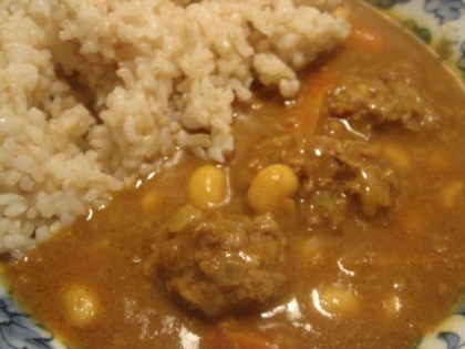 写真に魅せられました～（*^_^*）
団子もカレーも自家製ですが、、、カレーに大豆がベストマッチ☆
美味しいですね、ごち様<(_ _)>