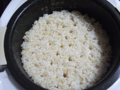 炊飯器で美味しい玄米の炊き方