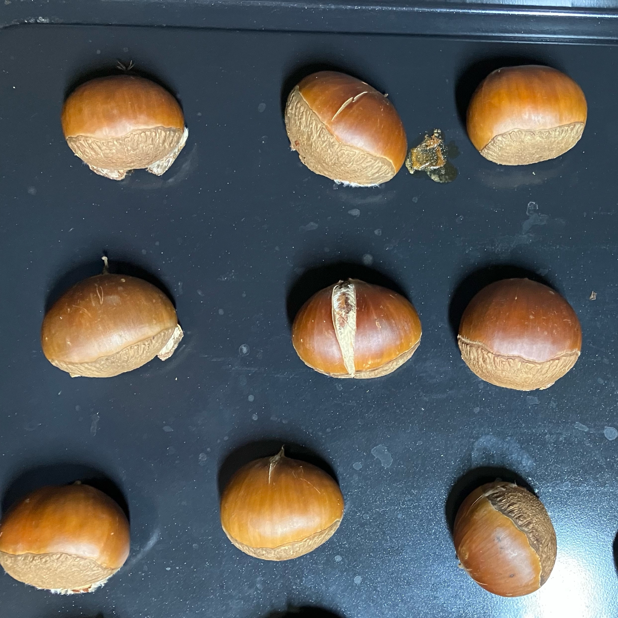 天板に並べられた栗