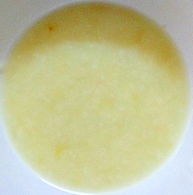 離乳食中期　キャベツ＆カリフラ入りコーンスープ