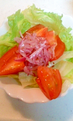 紫玉ねぎとトマトのサラダ