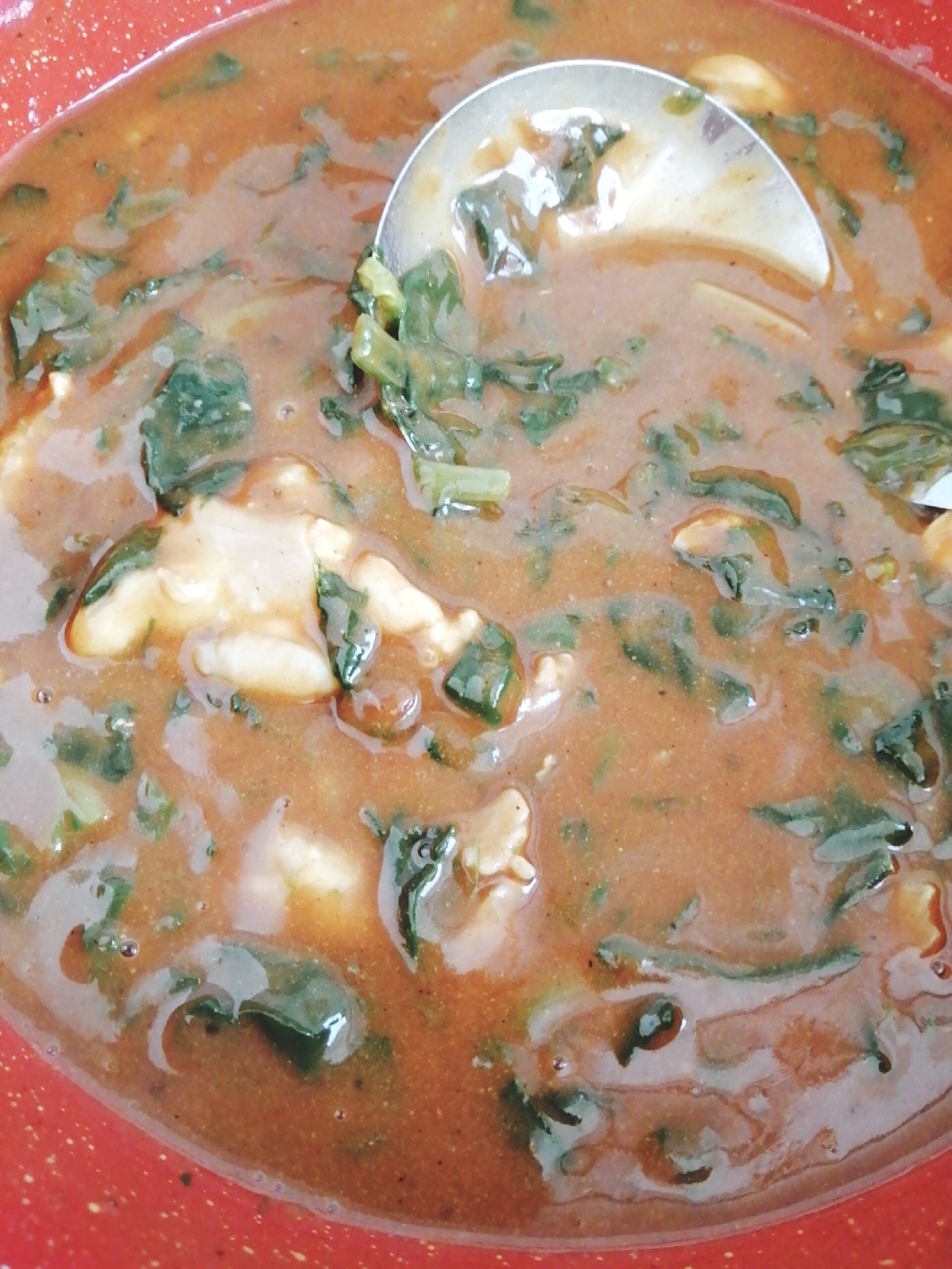 ほうれん草とチキンのカレー