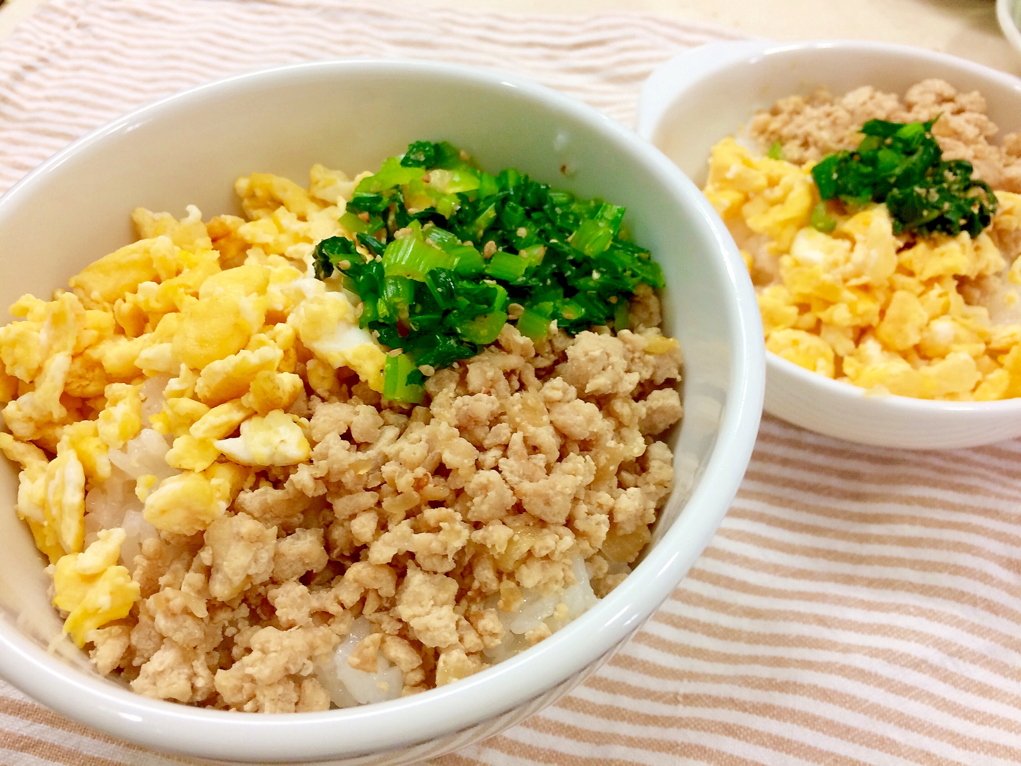 三色丼・そぼろ丼