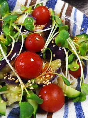 トマト茄子きゅうり素麺中華風 レシピ 作り方 By Leopoo 楽天レシピ トマト茄子きゅうり素麺中華風 レシピ 作り方 By Leopoo 楽天レシピ