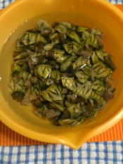 亀の手の味噌汁 レシピ 作り方 By テツオ63 楽天レシピ 亀の手の味噌汁 レシピ 作り方 By テツオ63 楽天レシピ