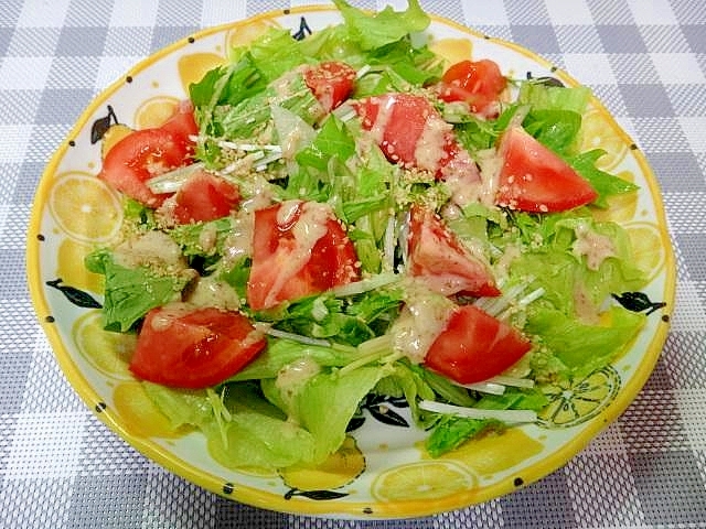 レタスとトマト水菜のヘルシー胡麻サラダ