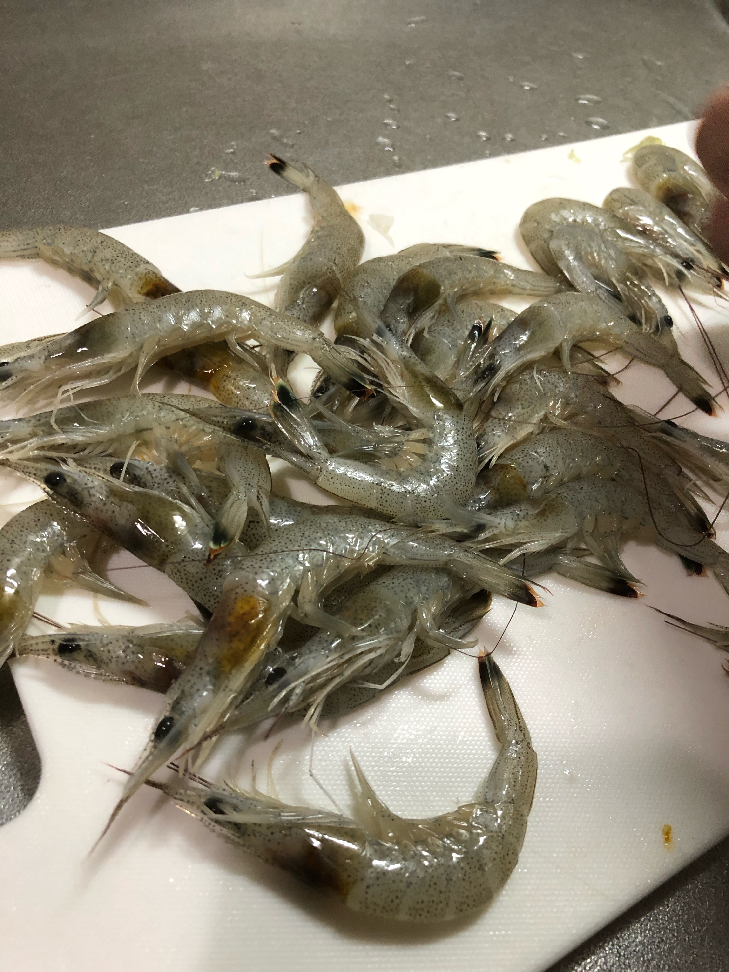 マジックソルトの芝海老素揚げ レシピ 作り方 By 鷹cook 楽天レシピ マジックソルトの芝海老素揚げ レシピ 作り方 By 鷹cook 楽天レシピ