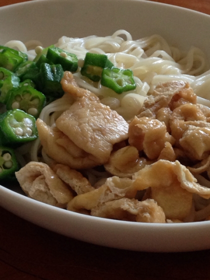 きつねと玉子ときゅうりの冷やしうどん