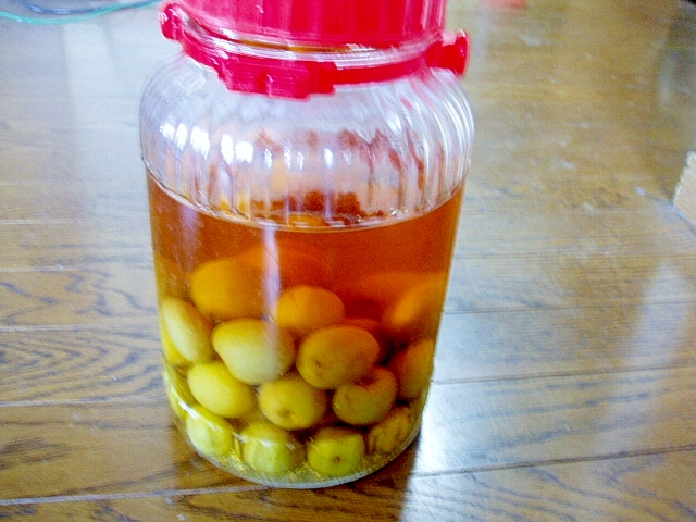 甘すぎない!我が家の梅酒