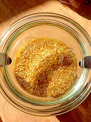 手作りマスタード レシピ 作り方 By 和土 楽天レシピ 手作りマスタード レシピ 作り方 By 和土 楽天レシピ