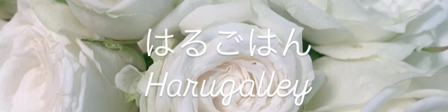 はるごはん✈︎Harugalley
