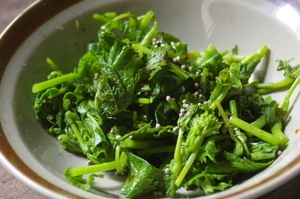 からし菜の菜の花のおひたし レシピ 作り方 By 和土 楽天レシピ からし菜の菜の花のおひたし レシピ 作り方 By 和土 楽天レシピ