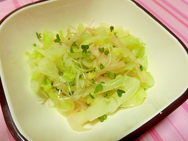 キャベツと甘酢生姜の酢の物 レシピ 作り方 By こす なな 楽天レシピ