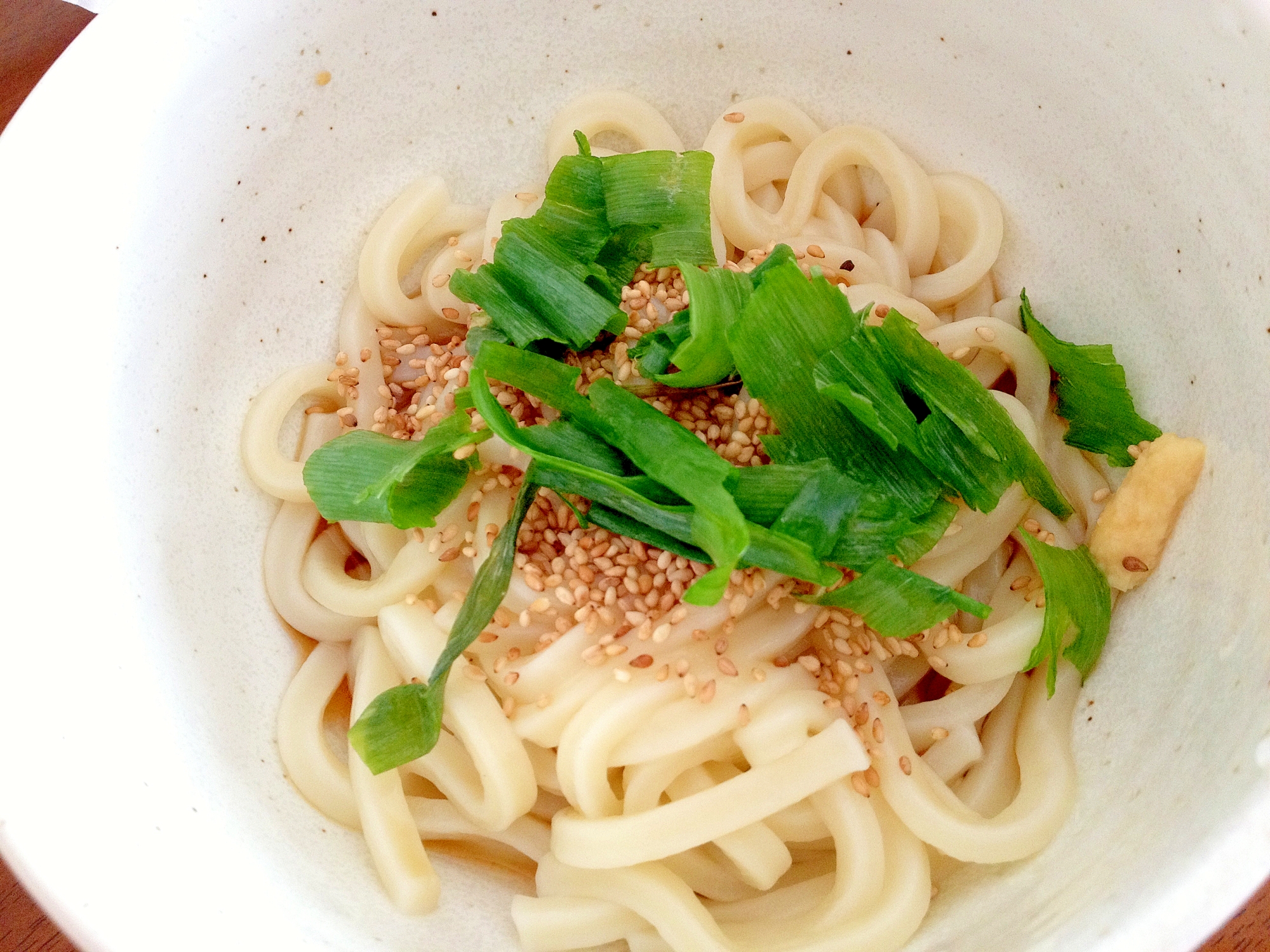 手抜き白ごまとネギの讃岐うどん