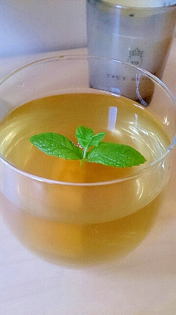 マンゴー、ミントのすっきり、サマー緑茶