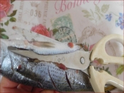 タカベの塩焼き レシピ 作り方 By だんご7 楽天レシピ