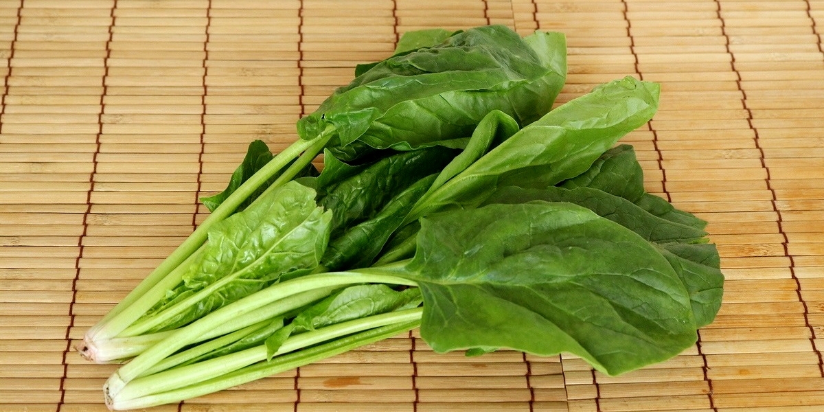 ほうれん草の下茹では何のため シュウ酸 について正しく知っておこう デイリシャス 楽天レシピ ほうれん草の下茹では何のため シュウ酸 について正しく知っておこう デイリシャス 楽天レシピ