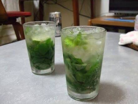 自家製モヒート レシピ 作り方 By ほり 楽天レシピ 自家製モヒート レシピ 作り方 By ほり 楽天レシピ