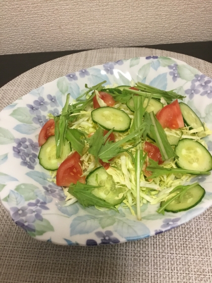 キャベツと水菜とトマトときゅうりのサラダ