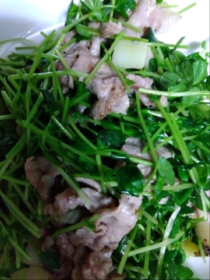 豚こまと豆苗の炒め物