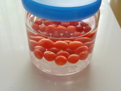 ユスラウメの果実酒