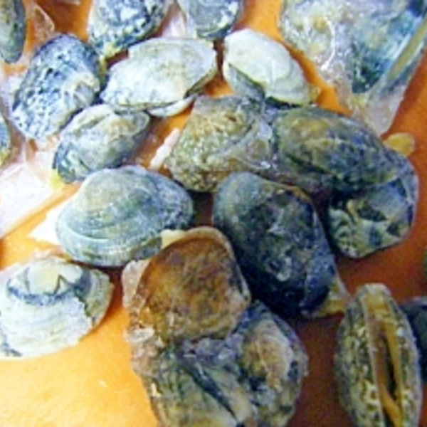 あさりの砂抜き 冷凍保存法 レシピ 作り方 By Mococo05 楽天レシピ あさりの砂抜き 冷凍保存法 レシピ 作り方 By Mococo05 楽天レシピ