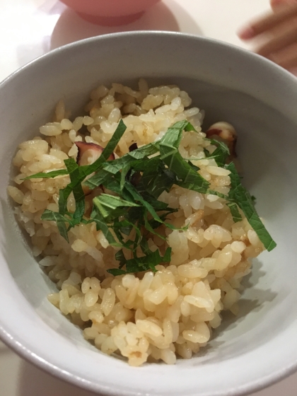 箸が止まらない 色も味もご飯に染みる 絶品タコ飯