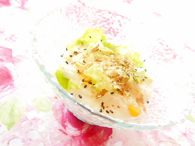 とろろ コーン 鰹節 サニーレタスのとりあえず レシピ 作り方 By 小太郎1212 楽天レシピ とろろ コーン 鰹節 サニーレタスのとりあえず レシピ 作り方 By 小太郎1212 楽天レシピ