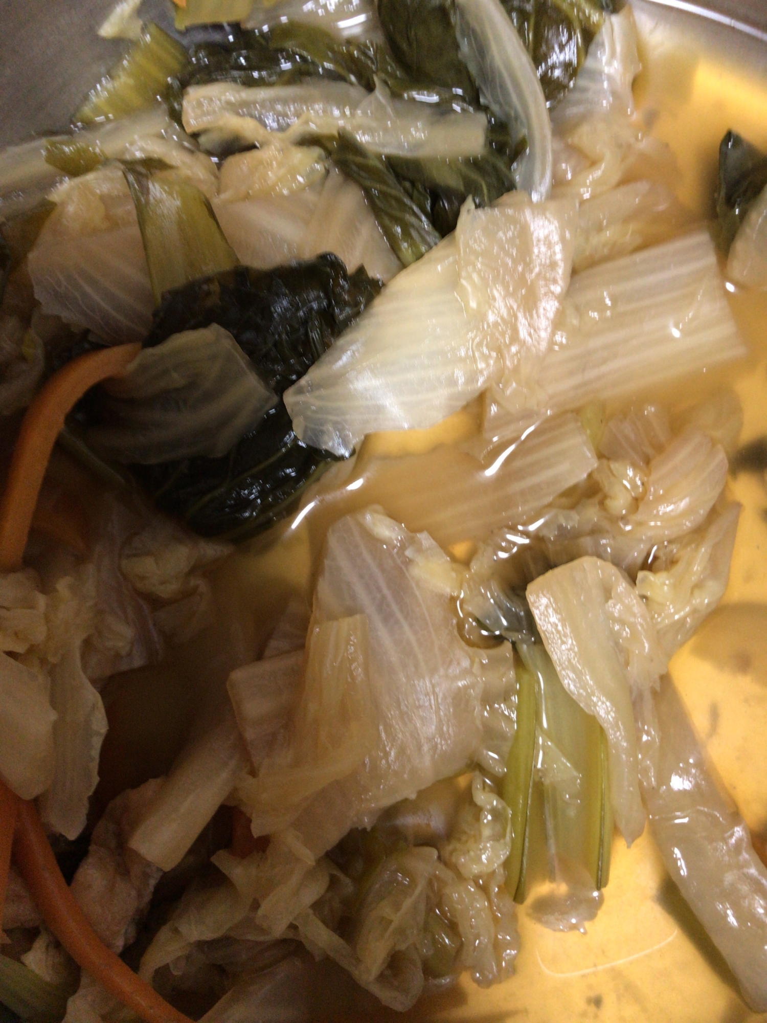白菜と小松菜の煮浸し