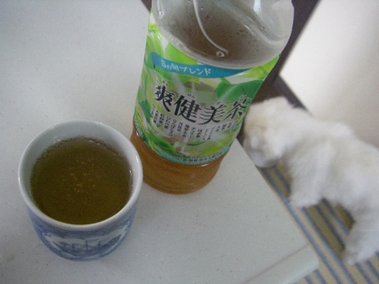 緑茶じゃなくて爽健美茶でごめんね～！みぃのもぐもぐを眺めながら美味しくごちさまぁ❤